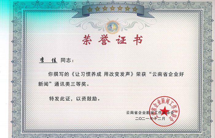 1640859802797926.jpg 李佳 小圖 云南省企業(yè)新聞工作者協(xié)會獲獎證書_頁面_1.jpg